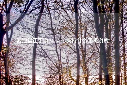 泡泡堂正手游(xboxones支持什么手机游戏)
