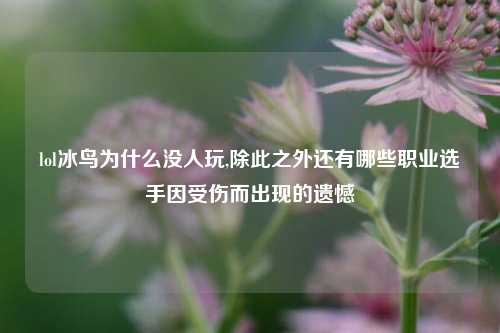 lol冰鸟为什么没人玩,除此之外还有哪些职业选手因受伤而出现的遗憾