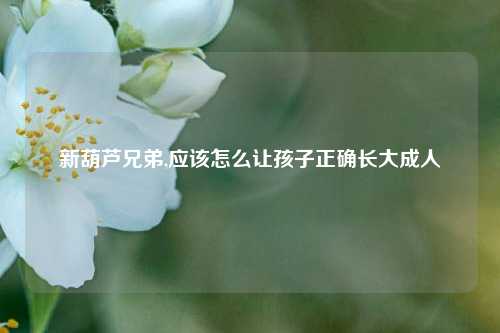 新葫芦兄弟,应该怎么让孩子正确长大成人
