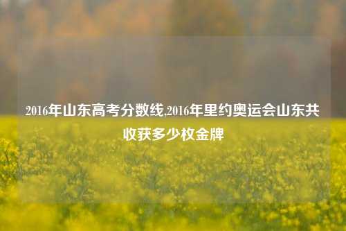 2016年山东高考分数线,2016年里约奥运会山东共收获多少枚金牌