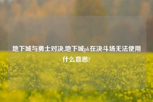 地下城与勇士对决,地下城pk在决斗场无法使用什么意思?