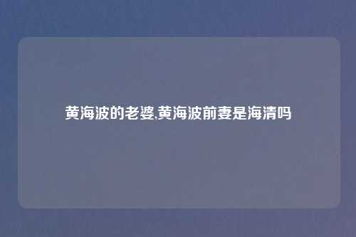 黄海波的老婆,黄海波前妻是海清吗