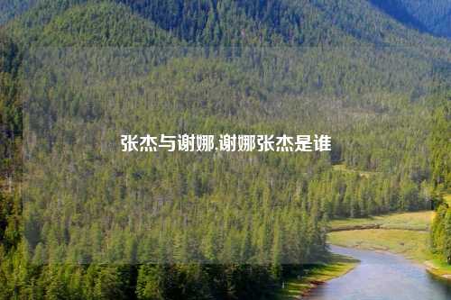张杰与谢娜,谢娜张杰是谁