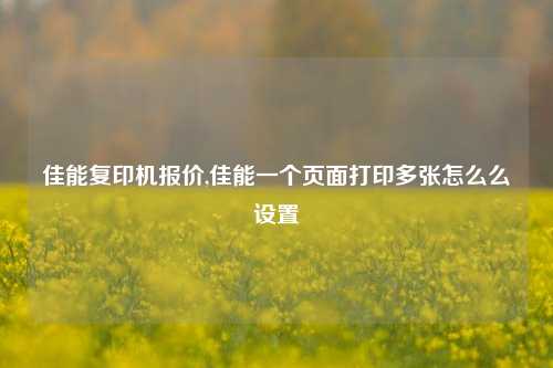 佳能复印机报价,佳能一个页面打印多张怎么么设置