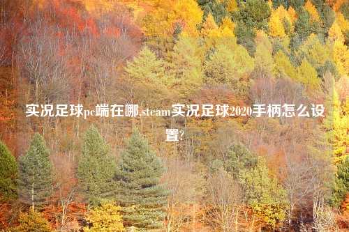 实况足球pc端在哪,steam实况足球2020手柄怎么设置?