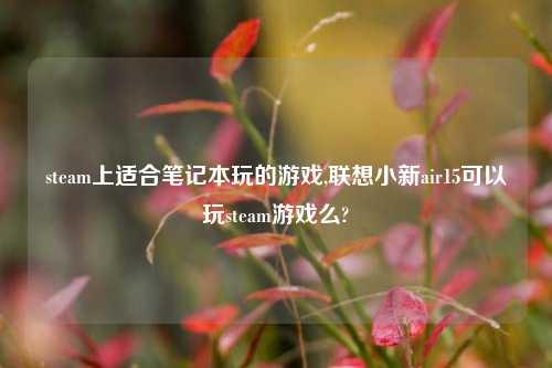 steam上适合笔记本玩的游戏,联想小新air15可以玩steam游戏么?
