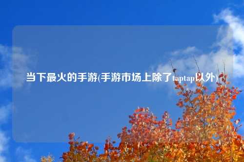当下最火的手游(手游市场上除了taptap以外)