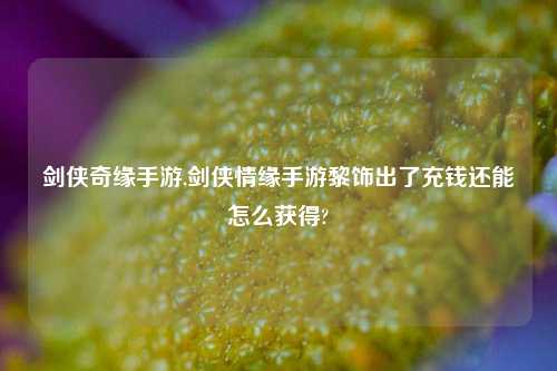 剑侠奇缘手游,剑侠情缘手游黎饰出了充钱还能怎么获得?