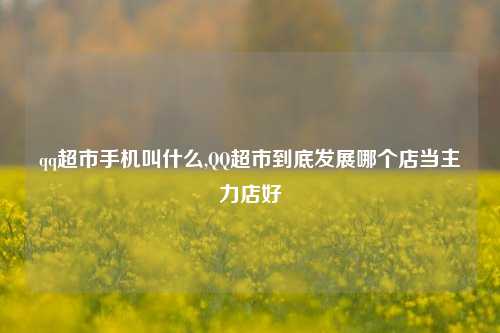 qq超市手机叫什么,QQ超市到底发展哪个店当主力店好