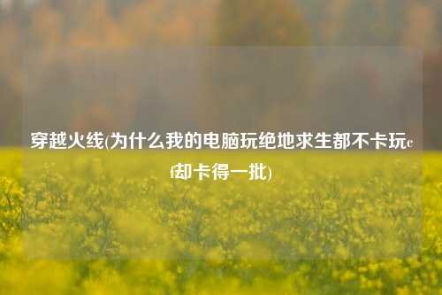 穿越火线(为什么我的电脑玩绝地求生都不卡玩cf却卡得一批)