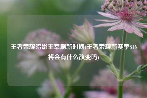 王者荣耀暗影主宰刷新时间(王者荣耀新赛季S16将会有什么改变吗)