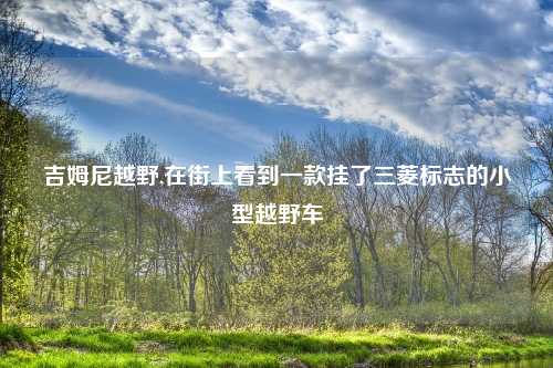 吉姆尼越野,在街上看到一款挂了三菱标志的小型越野车