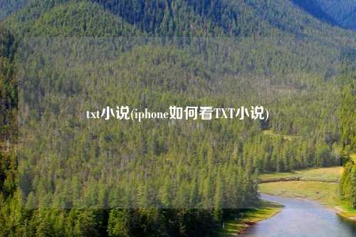 txt小说(iphone如何看TXT小说)