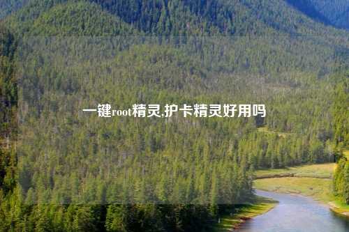 一键root精灵,护卡精灵好用吗