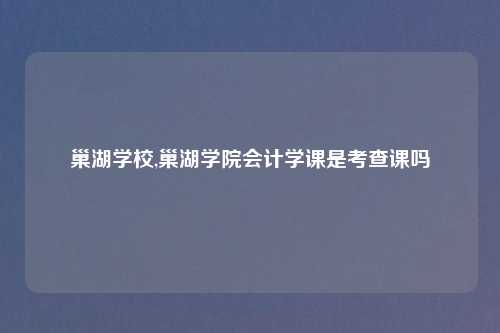 巢湖学校,巢湖学院会计学课是考查课吗