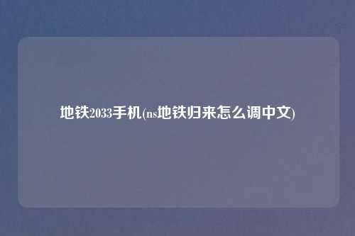 地铁2033手机(ns地铁归来怎么调中文)