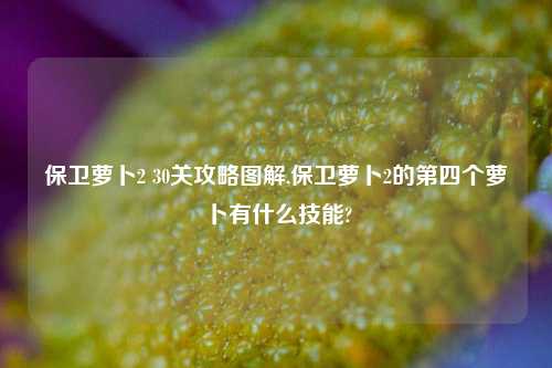保卫萝卜2 30关攻略图解,保卫萝卜2的第四个萝卜有什么技能?
