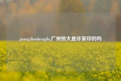 guangzhouhengda,广州恒大是许家印的吗