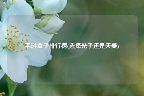 手游盒子排行榜(选择光子还是天美)