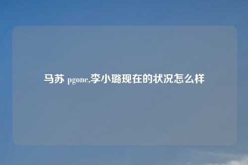 马苏 pgone,李小璐现在的状况怎么样