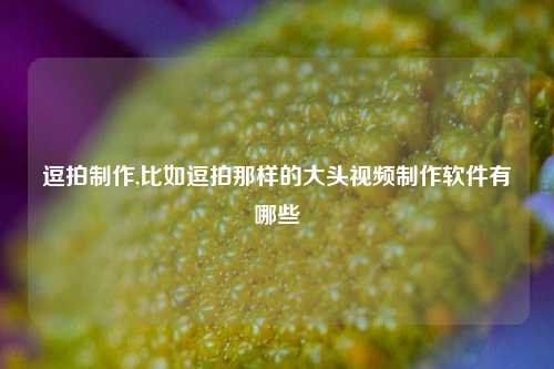 逗拍制作,比如逗拍那样的大头视频制作软件有哪些