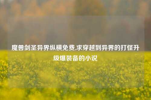 魔兽剑圣异界纵横免费,求穿越到异界的打怪升级爆装备的小说