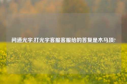 问道光宇,打光宇客服客服给的答复是木马顶?