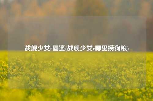 战舰少女r图鉴(战舰少女r哪里捞狗粮)