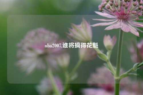 nba2007,谁将摘得花魁