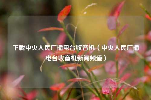 下载中央人民广播电台收音机（中央人民广播电台收音机新闻频道）