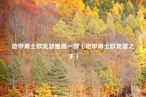 铠甲勇士欧克瑟是哪一部（铠甲勇士欧克瑟之王）