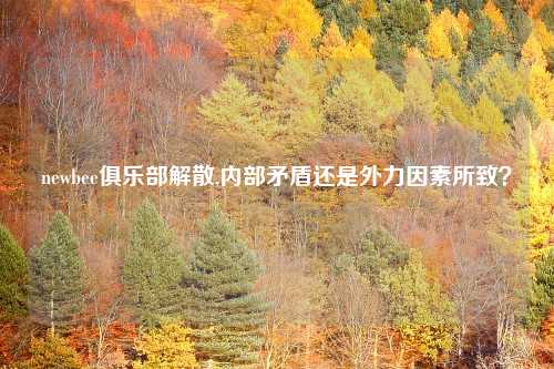newbee俱乐部解散,内部矛盾还是外力因素所致？