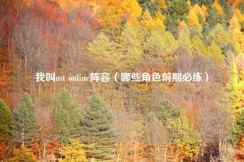我叫mt online阵容（哪些角色前期必练）