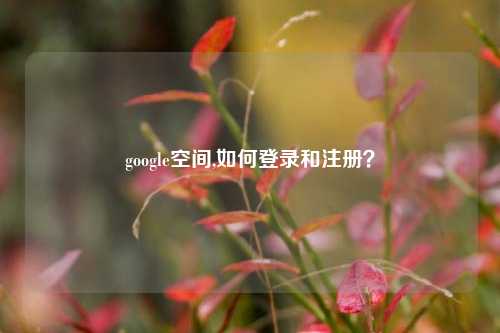 google空间,如何登录和注册？