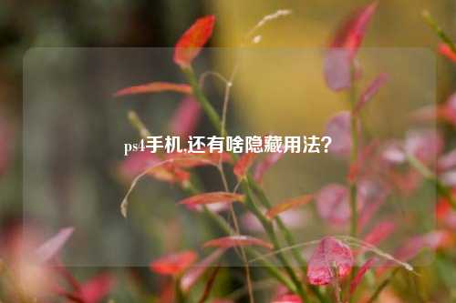 ps4手机,还有啥隐藏用法？