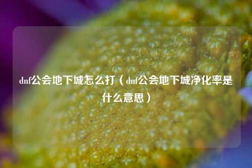 dnf公会地下城怎么打（dnf公会地下城净化率是什么意思）