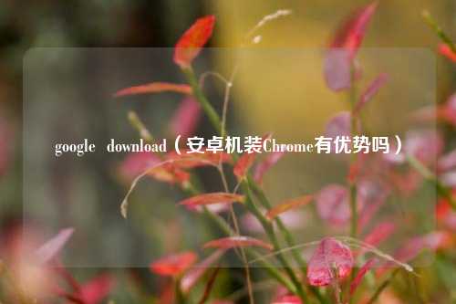 google  download（安卓机装Chrome有优势吗）