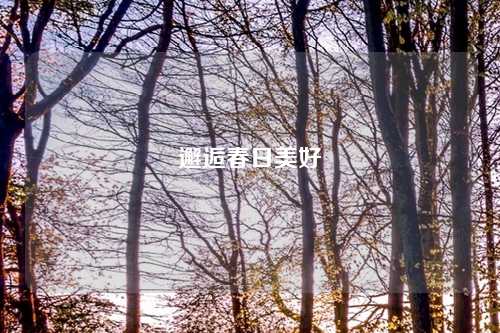 邂逅春日美好