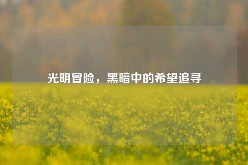 光明冒险，黑暗中的希望追寻