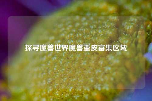 探寻魔兽世界魔兽重皮富集区域