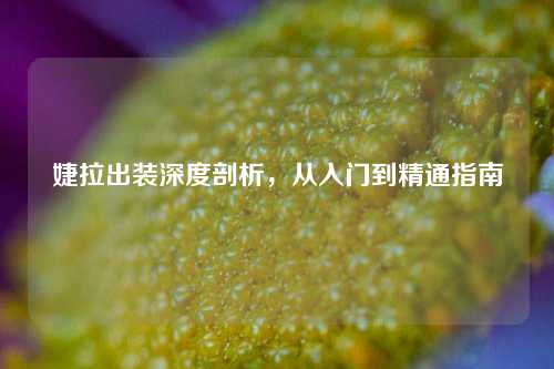 婕拉出装深度剖析，从入门到精通指南