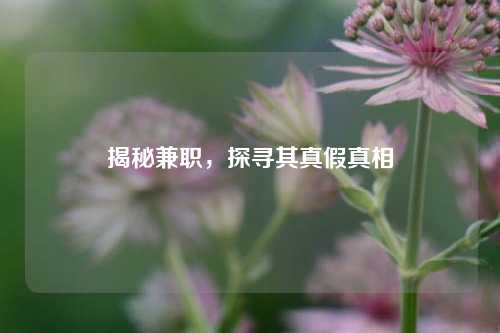 揭秘兼职，探寻其真假真相