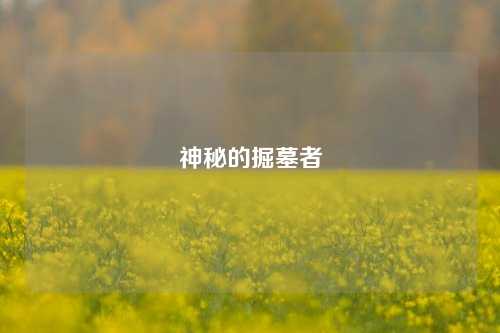 神秘的掘墓者