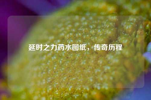 延时之力药水图纸，传奇历程