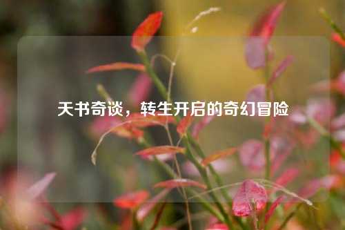 天书奇谈，转生开启的奇幻冒险