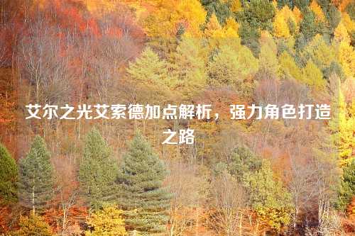 艾尔之光艾索德加点解析，强力角色打造之路