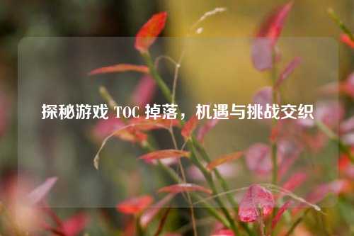 探秘游戏 TOC 掉落，机遇与挑战交织