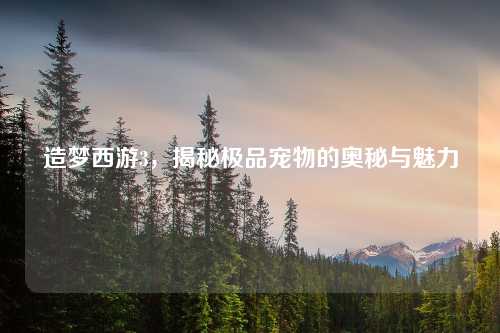 造梦西游3，揭秘极品宠物的奥秘与魅力
