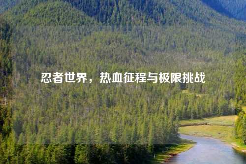 忍者世界，热血征程与极限挑战
