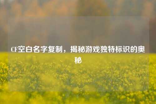 CF空白名字复制，揭秘游戏独特标识的奥秘